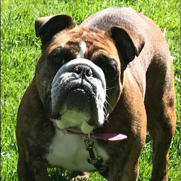 5 Star Seller - Picture 2 of 10